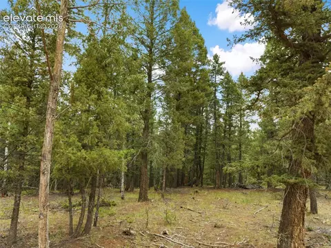 810 Ridge Rd, Divide, CO 80814 photo 5
