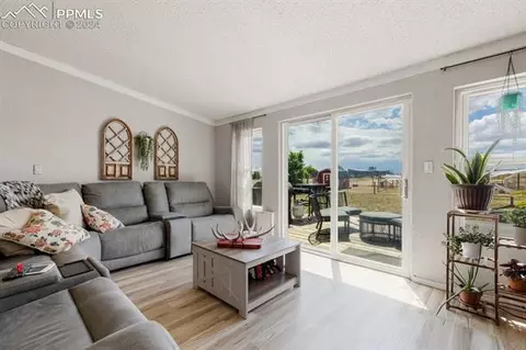 21085 Oasis Ave, Peyton, CO 80831 photo 18
