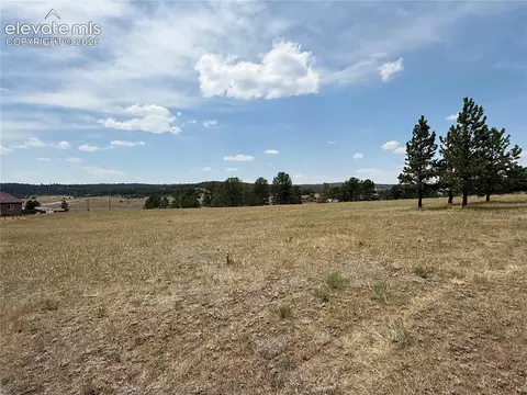 350 High Pasture Rd, Florissant, CO 80816