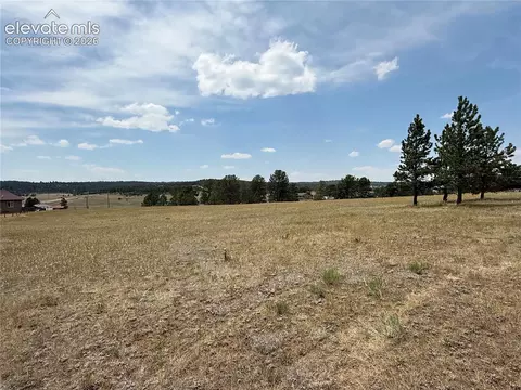 350 High Pasture Rd, Florissant, CO 80816