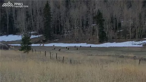 196 Shaw Ln, Divide, CO 80814 photo 36