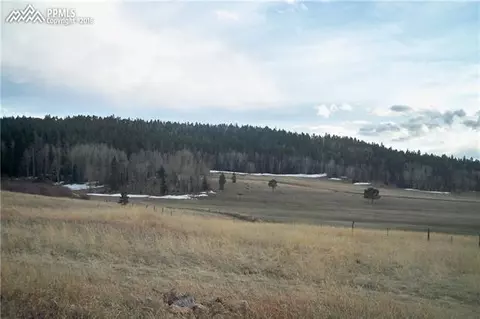 196 Shaw Ln, Divide, CO 80814 photo 35