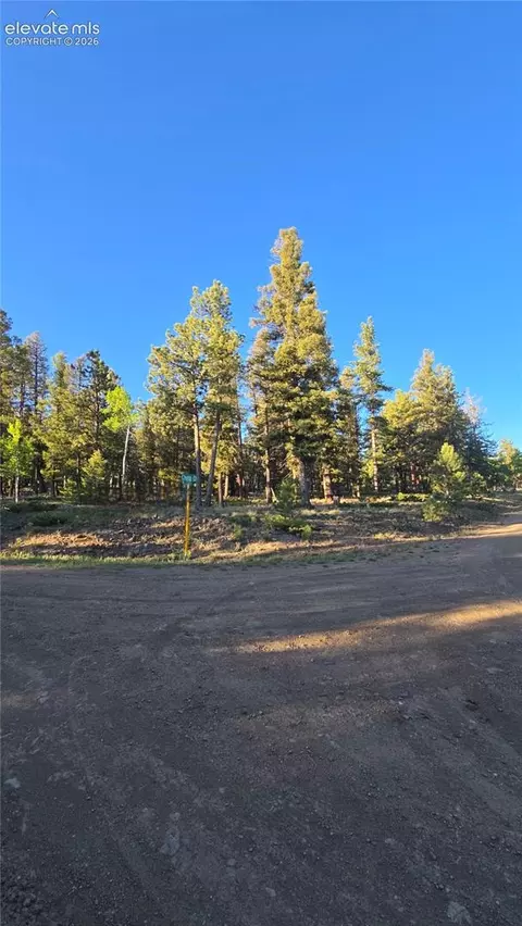Chubb Court, Buena Vista, CO 81211