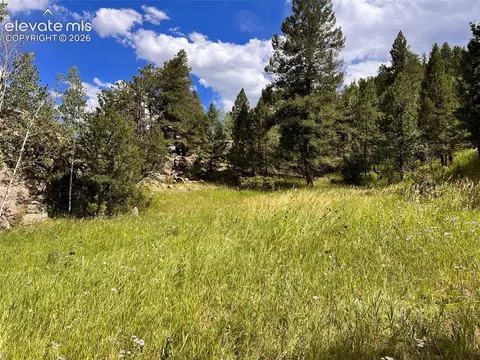 313 Elliott Dr, Florissant, CO 80816