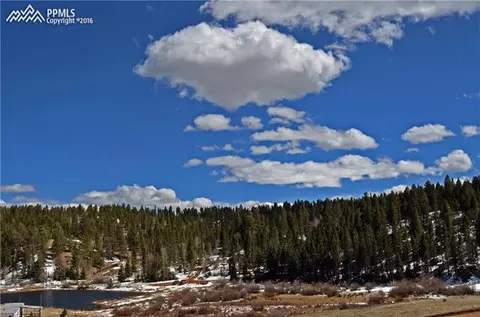 257 Shadow Lake Dr, Divide, CO 80814 photo 6