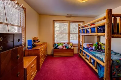 288 Broken Wheel Dr, Divide, CO 80814 photo 25