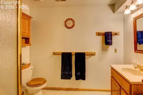 288 Broken Wheel Dr, Divide, CO 80814 photo 27