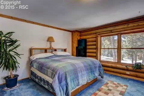 288 Broken Wheel Dr, Divide, CO 80814 photo 16