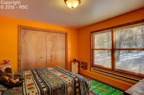 288 Broken Wheel Dr, Divide, CO 80814 photo 22