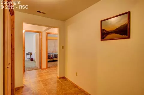 288 Broken Wheel Dr, Divide, CO 80814 photo 23
