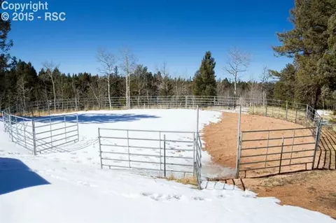 288 Broken Wheel Dr, Divide, CO 80814 photo 31