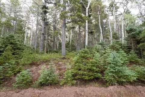 lot2614 Petito Dr, Fort Garland, CO 81133