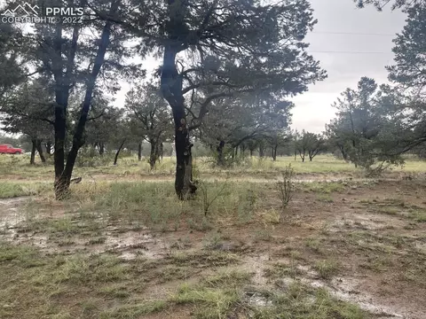 3126 M Path, Cotopaxi, CO 81223 photo 1