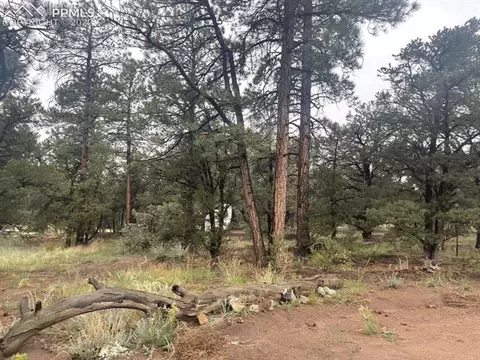 3126 M Path, Cotopaxi, CO 81223 photo 3