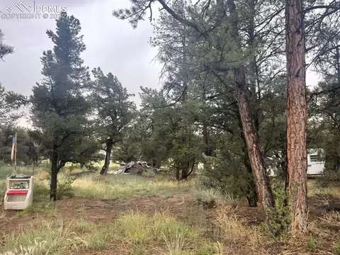 3126 M Path, Cotopaxi, CO 81223 photo 2