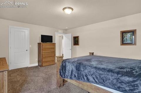 10111 Henman Ter, Peyton, CO 80831 photo 25