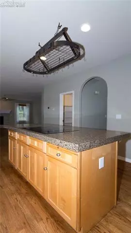 310 Lariat Loop, Monument, CO 80132 photo 6