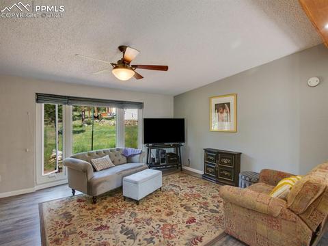 305 Julia Rd, Guffey, CO 80820 photo 9