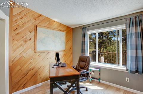 305 Julia Rd, Guffey, CO 80820 photo 15
