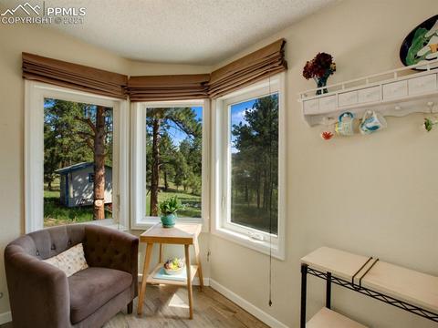 305 Julia Rd, Guffey, CO 80820 photo 13