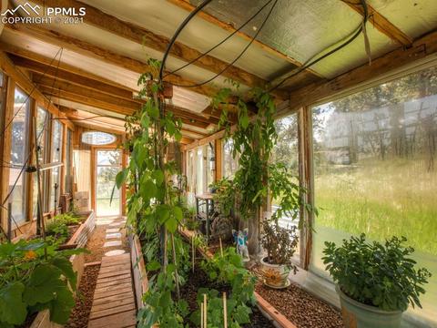 305 Julia Rd, Guffey, CO 80820 photo 35