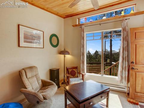 305 Julia Rd, Guffey, CO 80820 photo 26