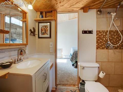 305 Julia Rd, Guffey, CO 80820 photo 29