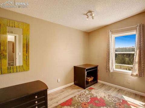 305 Julia Rd, Guffey, CO 80820 photo 20