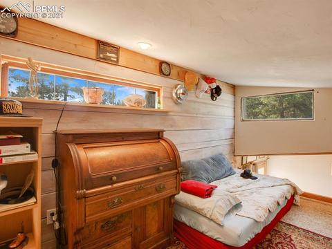 305 Julia Rd, Guffey, CO 80820 photo 28