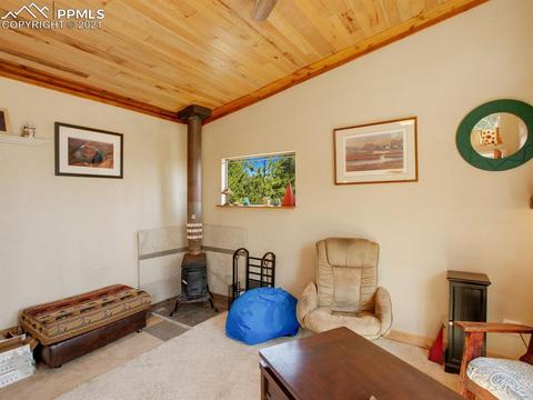 305 Julia Rd, Guffey, CO 80820 photo 27