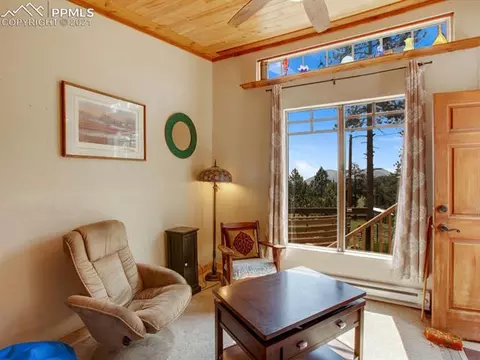 305 Julia Rd, Guffey, CO 80820 photo 21