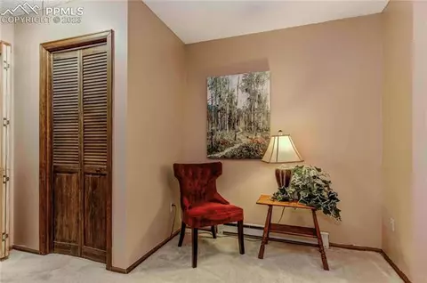 4340 Heizer St, Cascade, CO 80809 photo 21