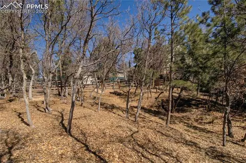 4340 Heizer St, Cascade, CO 80809 photo 43
