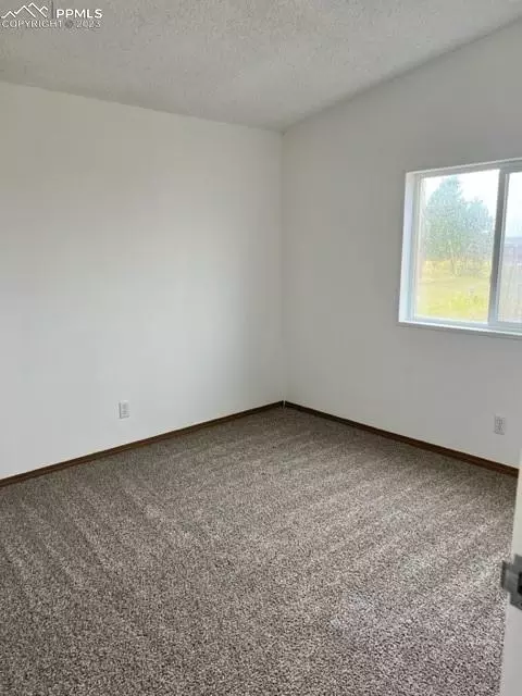 297 Doublet Ln, Divide, CO 80814 photo 8