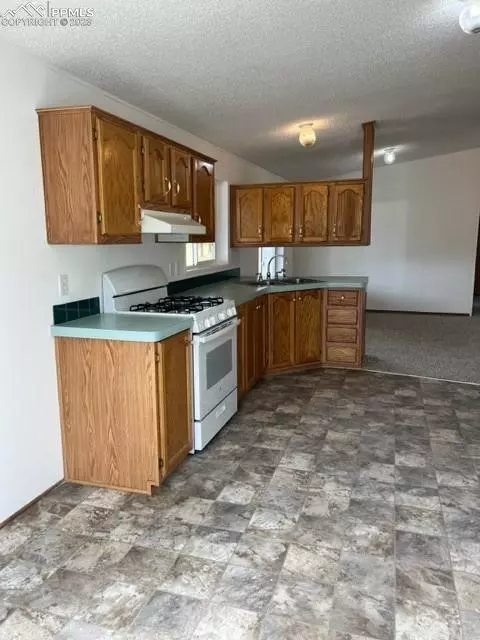297 Doublet Ln, Divide, CO 80814 photo 14