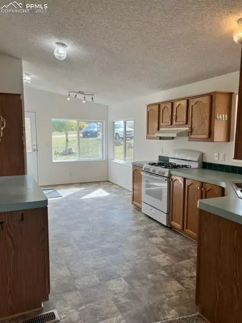 297 Doublet Ln, Divide, CO 80814 photo 17