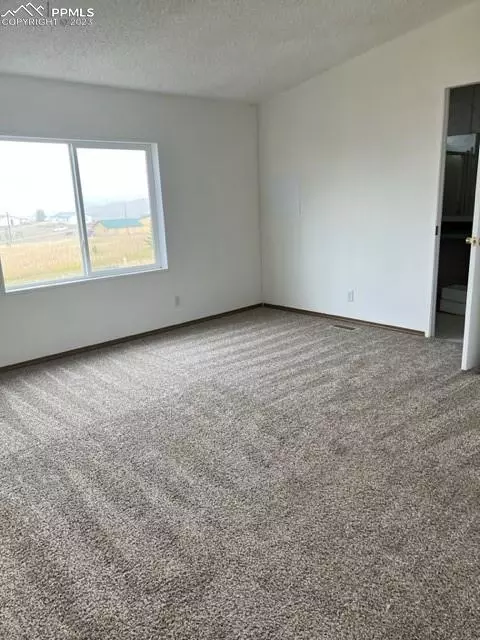 297 Doublet Ln, Divide, CO 80814 photo 10