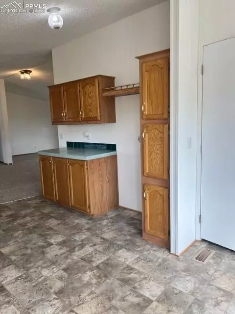 297 Doublet Ln, Divide, CO 80814 photo 15