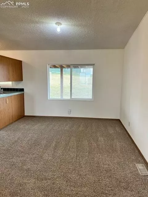 297 Doublet Ln, Divide, CO 80814 photo 6
