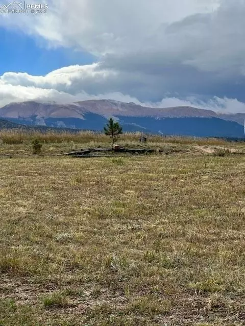 297 Doublet Ln, Divide, CO 80814 photo 3