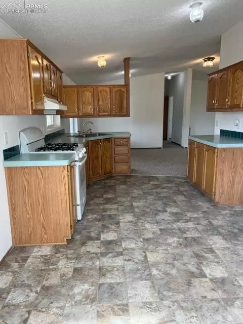 297 Doublet Ln, Divide, CO 80814 photo 13