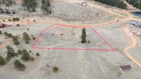 175 Twin Lakes Dr, Divide, CO 80814 photo 5