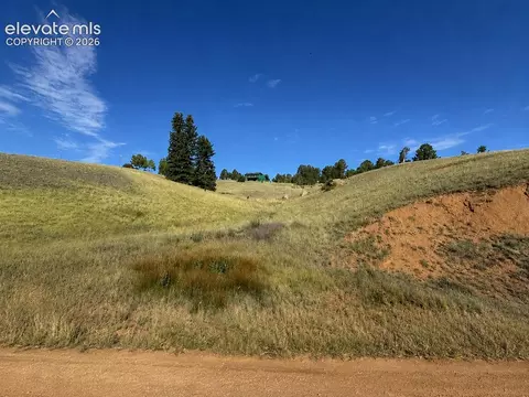 175 Twin Lakes Dr, Divide, CO 80814 photo 10