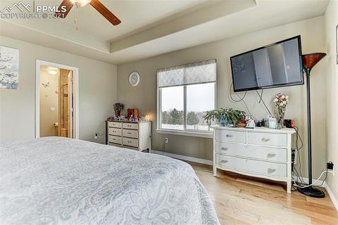 17856 Lapis Ct, Monument, CO 80132 photo 21