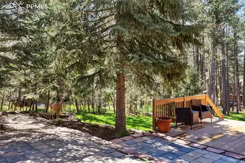 19585 Four Winds Way, Monument, CO 80132 photo 34
