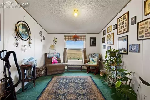 36015 Corona Rd, Yoder, CO 80864 photo 19