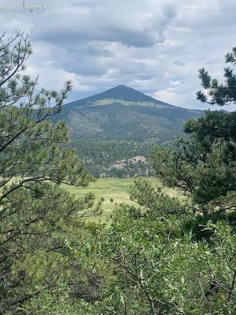 898 Navajo Dr, Florissant, CO 80816