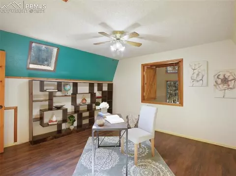 3762 Cedar Mountain Rd, Divide, CO 80814 photo 23