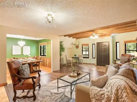 3762 Cedar Mountain Rd, Divide, CO 80814 photo 4