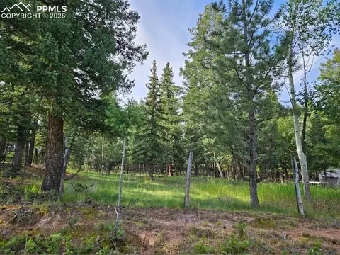 Rolling Park Drive, Woodland Park, CO 80863